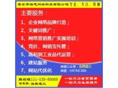 成都网络营销推广公司 科技驱动下的数字增长新引擎
